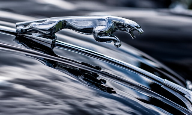 Jaguar Insurance